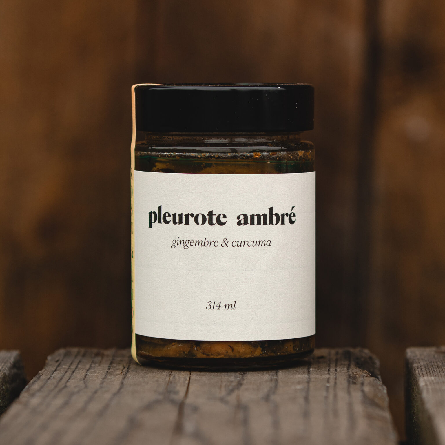 Pleurote ambré